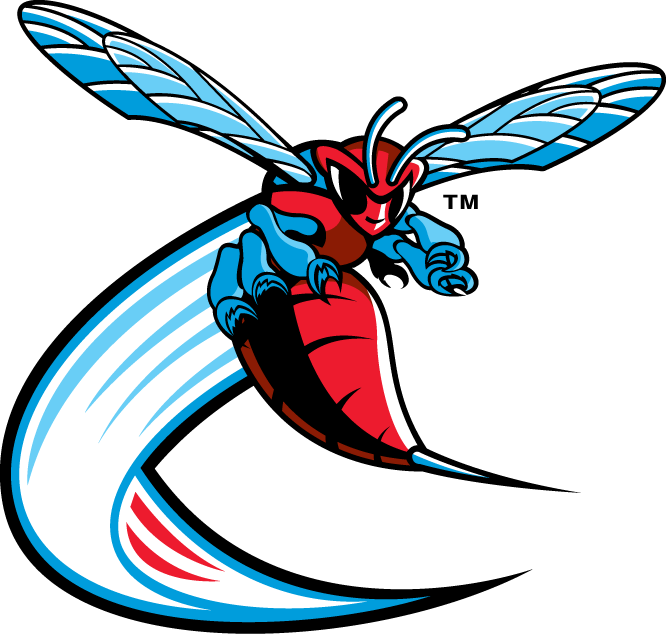 Delaware State Hornets 2004-Pres Alternate Logo v3 diy fabric transfer